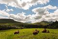 2017_08_06_Auvergne (0015)